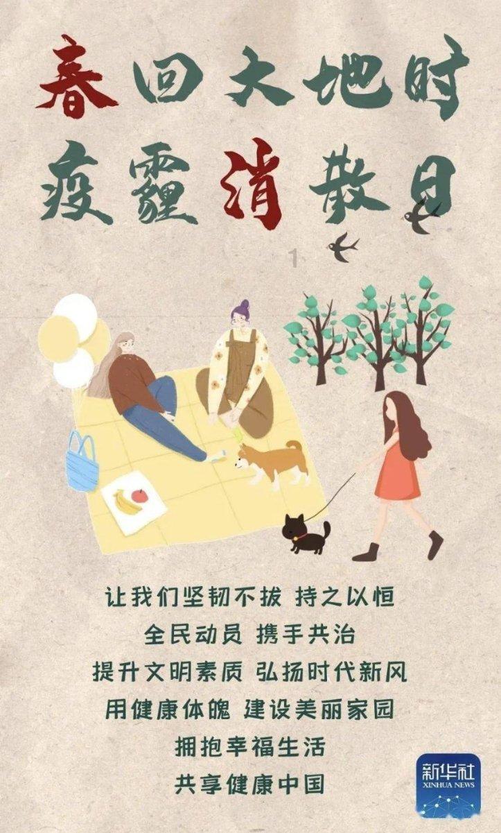 探探猫之飞天萌猫