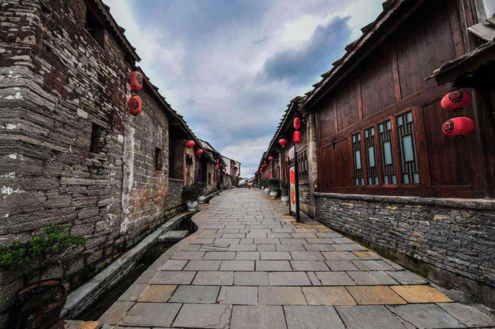 逃离白鸽之森